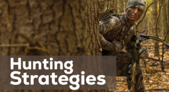 Hunting Strategies: Techniques and Approaches for a Successful Hunt