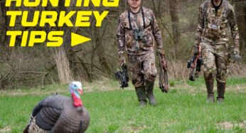 Hunting Turkey Tips: Techniques for a Successful Turkey Hunt