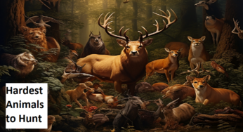 The Hardest Animals to Hunt: A Comprehensive Guide