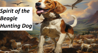 Unleashing the Spirit of the Beagle Hunting Dog: A Dive into Their History and Skills