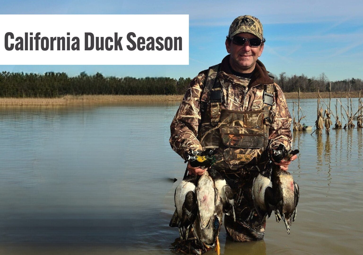 California Duck Season A Comprehensive Guide of Timing, Essential’s