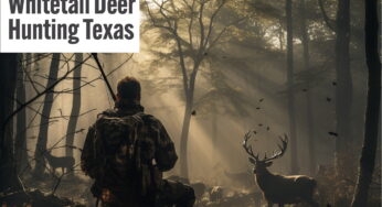 The Complete Guide to Whitetail Deer Hunting in Texas