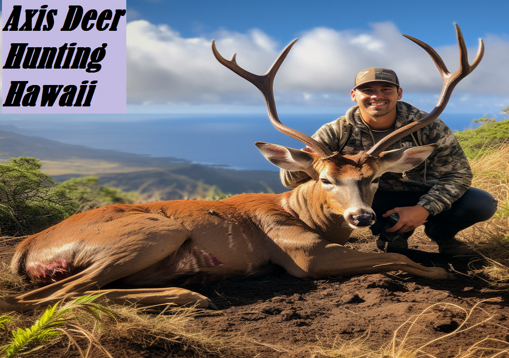 Axis Deer Hunting in Hawaii An Island Adventure The Shooting Gears