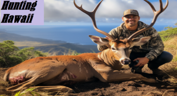 Axis Deer Hunting in Hawaii: An Island Adventure