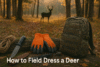 how to feild dress a deer