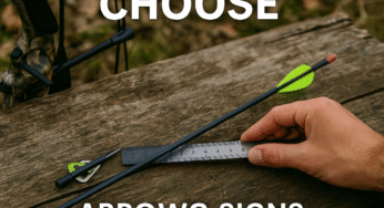 How to Choose Arrow Spine for Your Bow: The Complete Guide