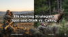 Elk Hunting Strategies Spot and Stalk vs Calling