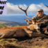 Wild Pig Hunting in Southern California: An Uncharted Adventure