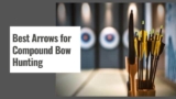 10 Best Arrows for Compound Bow Hunting in 2025