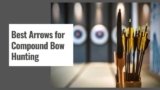10 Best Arrows for Compound Bow Hunting in 2025