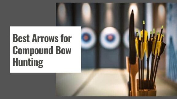 10 Best Arrows for Compound Bow Hunting in 2024