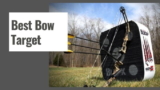 10 Best Bow Target in 2025