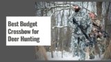 10 Best Budget Crossbow for Deer Hunting in 2025