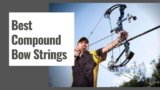 The 10 Best Compound Bow Strings in 2025