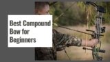 The 10 Best Compound Bow for Beginners in 2025