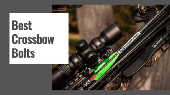 10 Best Crossbow Bolts for Deer Hunting in 2025