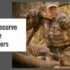 Best TenPoint Crossbow for Deer Hunting in 2025