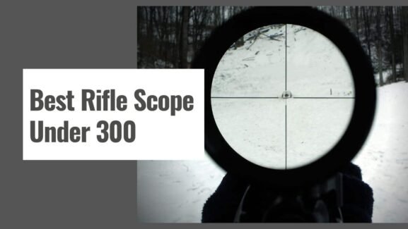 The 10 Best Rifle Scope Under 300 in 2025