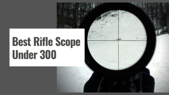 Best Rifle Scopes Under $300: Budget Optics Buying Guide