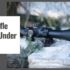 EOTech-Style Sight Alternatives: Red Dot and Holographic Buying Guide