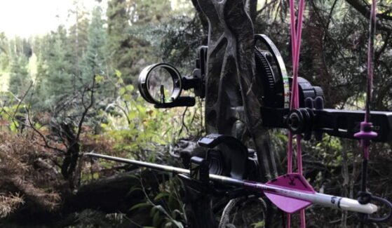 The 10 Best Single Pin Bow Sight for Hunting