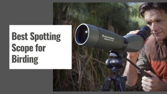 10 Best Spotting Scopes for Birding