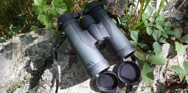 10 Best Vortex Binoculars for Hunting in 2025
