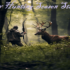 What is a good hunting dog?