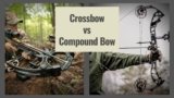 Crossbow VS Compound Bow – Which One is Better?