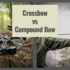 What Is Snipe Hunting? Real Bird Hunt vs the Prank