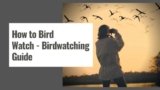 How to Bird Watch – Birdwatching Guide