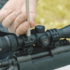 10 Best Crossbow Bolts for Deer Hunting in 2025