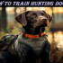 How to Train a Bird Dog: A Masterclass