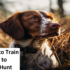 Hunting Pigs with Dogs: An In-depth Exploration