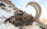 Mountain Hunting in Kazakhstan – There You Will Understand Who You Are