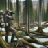 Thriving in the Wilderness: Southeast Alaska Rut Hunting Tips