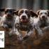 Unleashing the Spirit of the Beagle Hunting Dog: A Dive into Their History and Skills