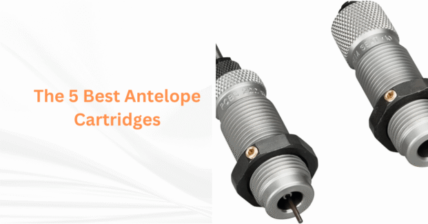 The 5 Best Antelope Cartridges: A Hunter’s Guide