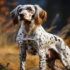 Unleashing Creativity: Finding the Perfect Girl Hunting Dog Names