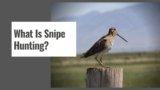 What Is Snipe Hunting?