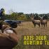 List of Wild Animals in Texas : A comprehensive guide