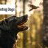 The Thrilling World of Upland Bird Hunting: A Comprehensive Guide