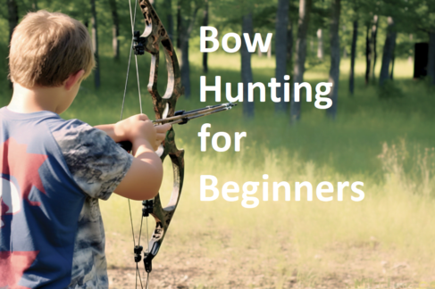 Bow Hunting for Beginners: A Comprehensive Guide to Getting Started