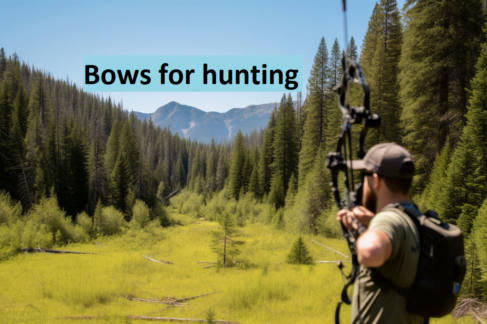 Bows for Hunting: A Comprehensive Guide to Choosing the Right Weapon