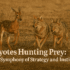 Airgun Deer Hunting: A Comprehensive Guide to Modern Game Pursuit