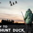 How to Hunt Coyotes: A Comprehensive Guide