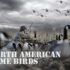 Types of Deer in America: A Comprehensive Guide to North American Cervids