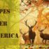 North American Game Birds: A Hunter’s Guide to the Wild Skies