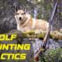 Hunting Tips for Beginners: Essential Advice to Get Started